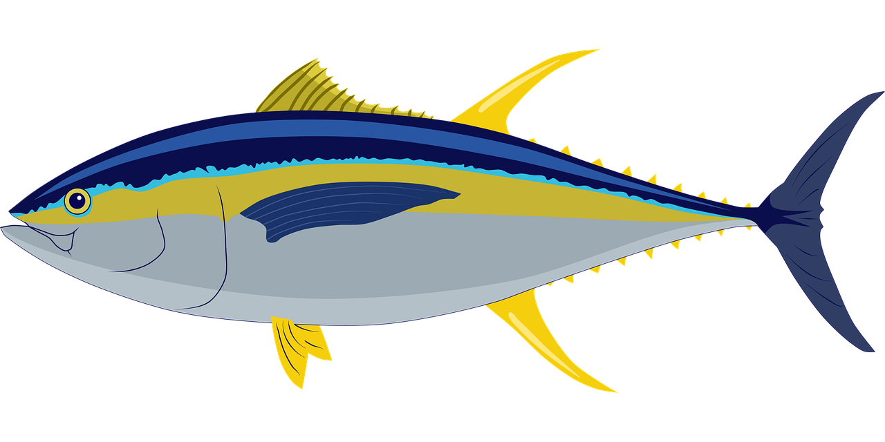 d&eacute;couvrez la beaut&eacute; fascinante des oc&eacute;ans, leurs &eacute;cosyst&egrave;mes riches et la vie marine qui les habite. plongez dans un monde sous-marin incroyable et prot&eacute;gez nos mers.